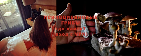 прущие крисы Балахна