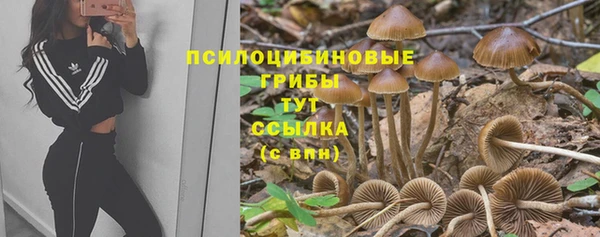 стафф Баксан