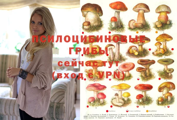 стафф Баксан