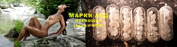 прущие крисы Балахна