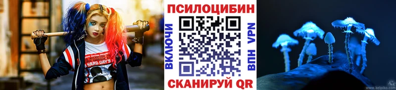 Псилоцибиновые грибы Psilocybe  Кыштым 